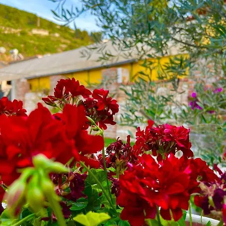 Pensionat Mecani Guesthouse
